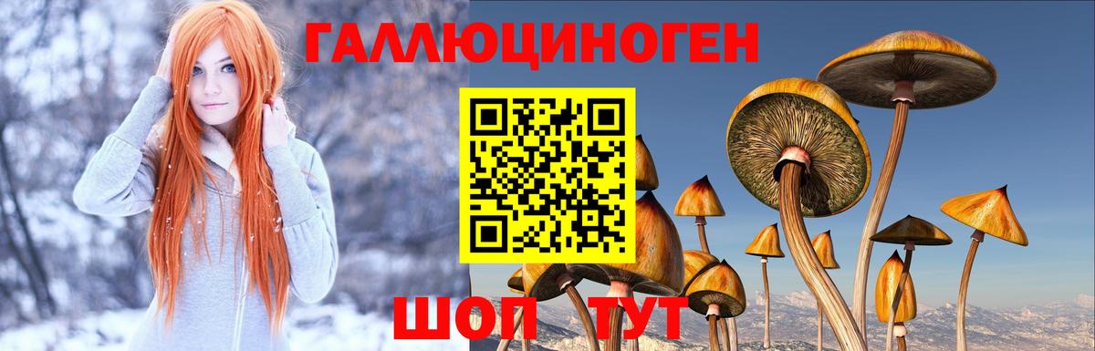 Псилоцибиновые грибы мухоморы  наркотики  Вход с VPN  Новоалтайск  Псилоцибиновые грибы мухоморы 